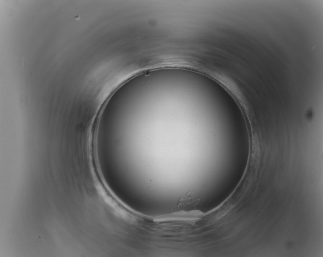 X0000112901439200908281714