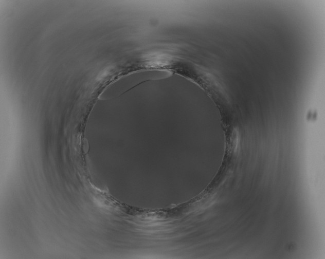 X0000112901441200908281713