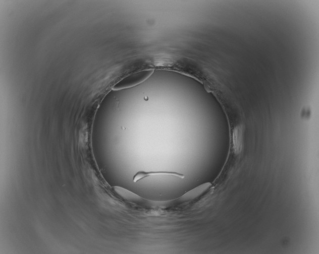 X0000112901443200908281713