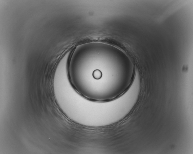 X0000112901444200908281713