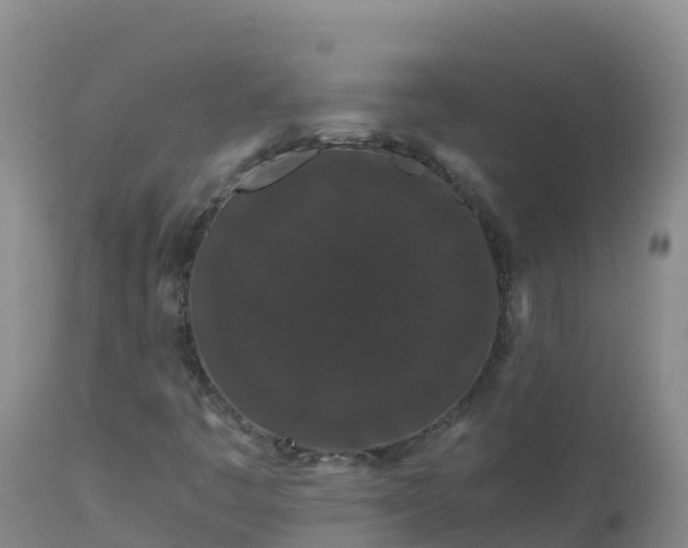 X0000112901445200908281713