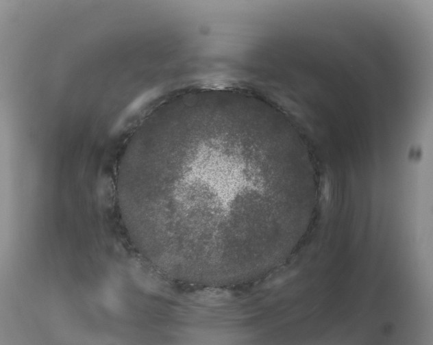 X0000112901446200908281713