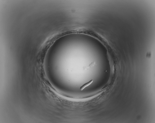 X0000112901447200908281713