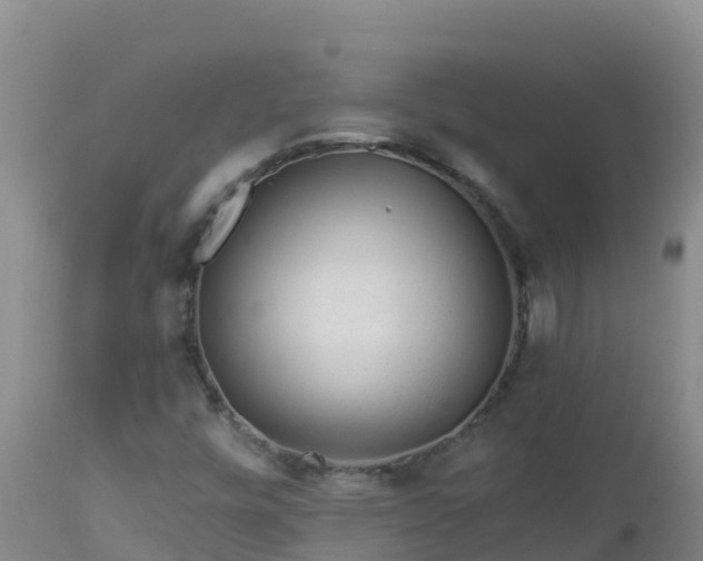 X0000112901448200908281713