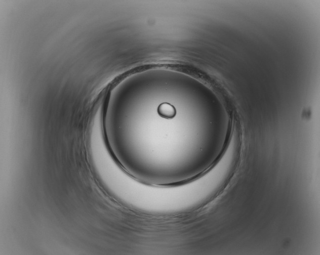 X0000112901449200908281713