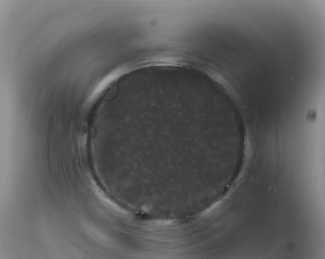 X0000112901450200908281713