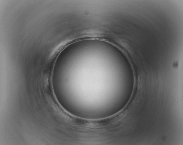 X0000112901451200908281713