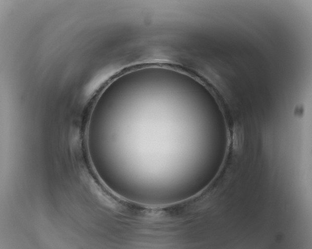 X0000112901452200908281713