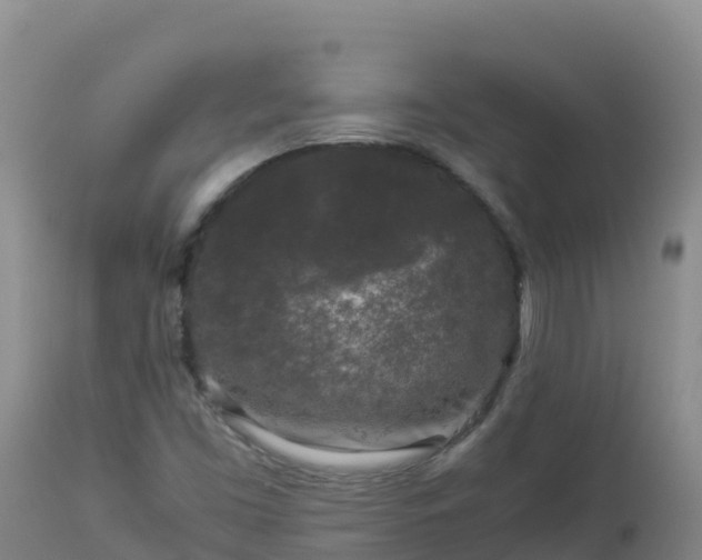 X0000112901453200908281713