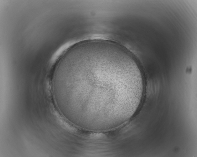 X0000112901454200908281713