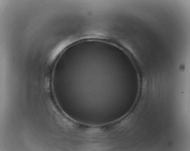 X0000112901455200908281713