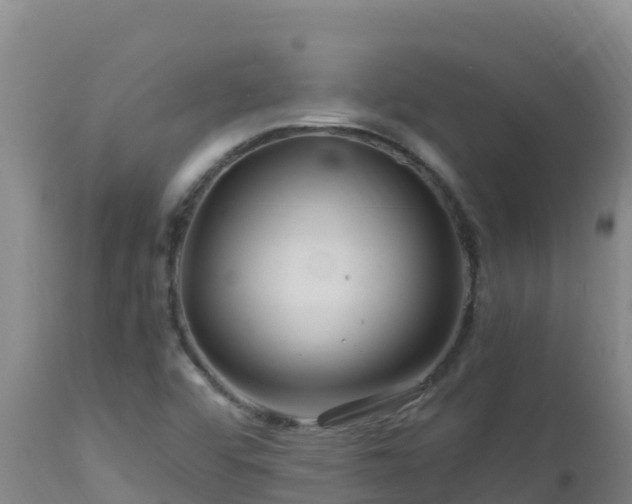 X0000112901456200908281713