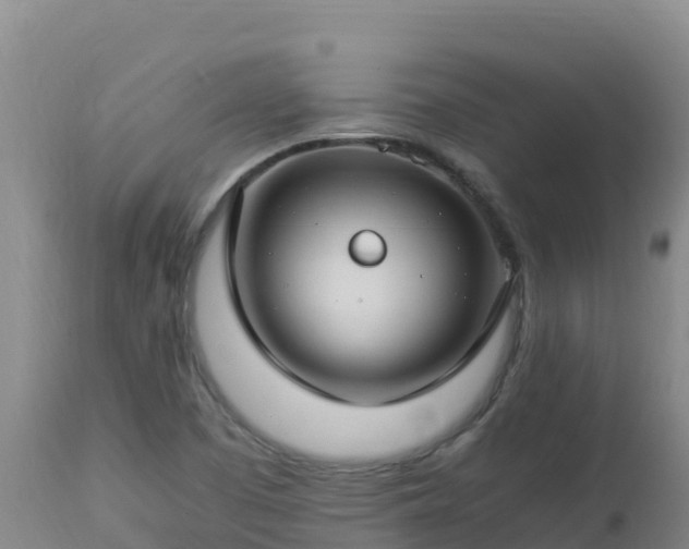 X0000112901457200908281713