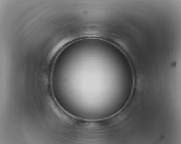 X0000112901458200908281713