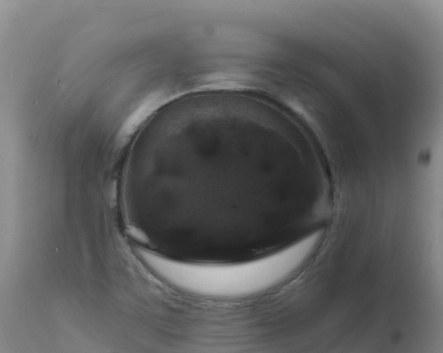 X0000112901459200908281713