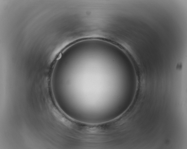 X0000112901460200908281713