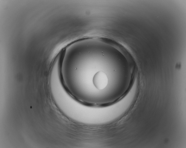 X0000112901461200908281713