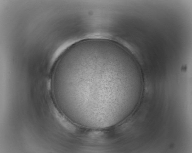 X0000112901462200908281713