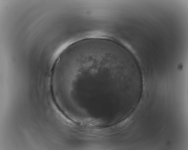 X0000112901463200908281713