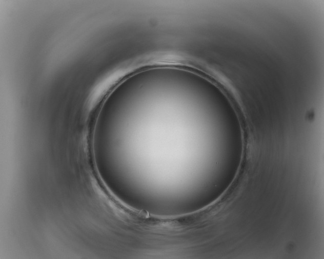 X0000112901464200908281713