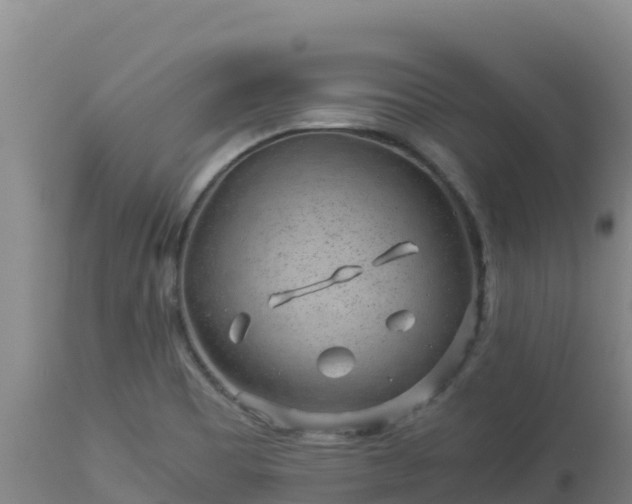 X0000112901465200908281713