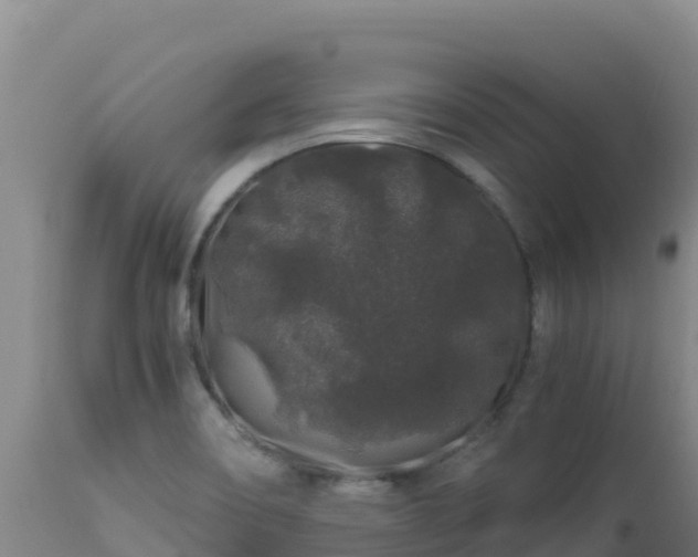 X0000112901466200908281713