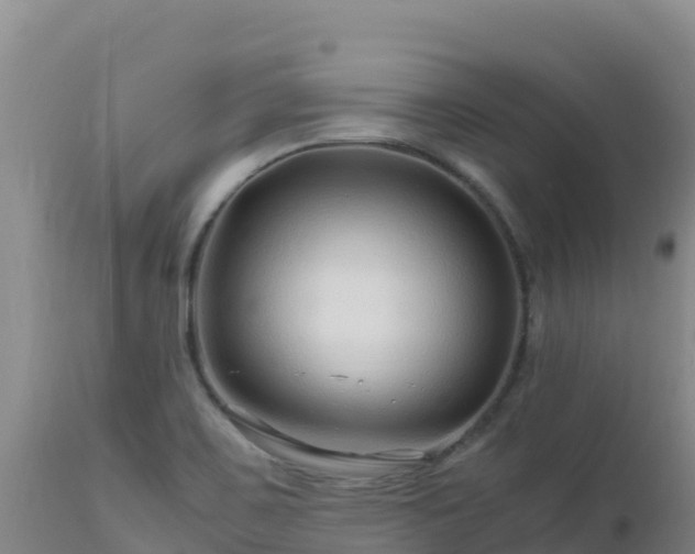 X0000112901467200908281713