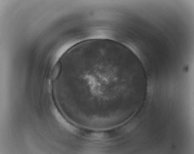 X0000112901468200908281713