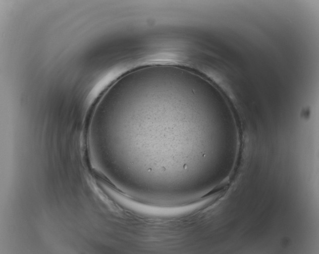 X0000112901469200908281713