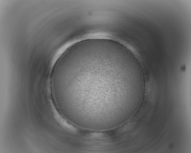 X0000112901470200908281713