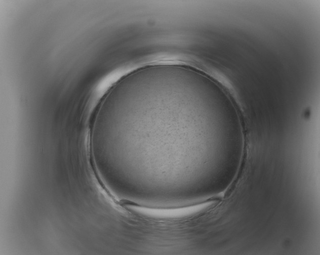 X0000112901472200908281713