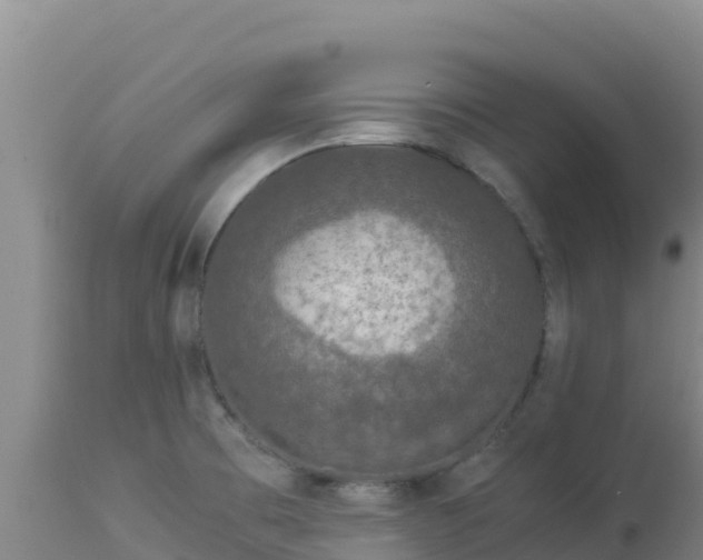 X0000112901473200908281713