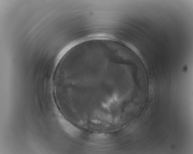 X0000112901474200908281713