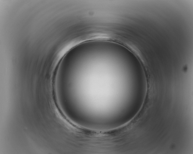 X0000112901475200908281713