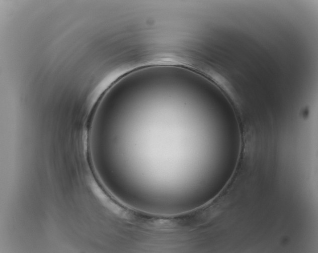 X0000112901476200908281713