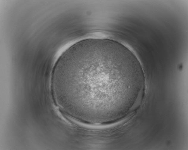 X0000112901477200908281713