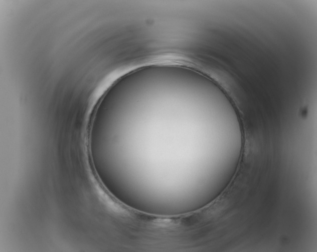 X0000112901478200908281713