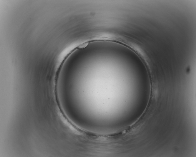 X0000112901480200908281713