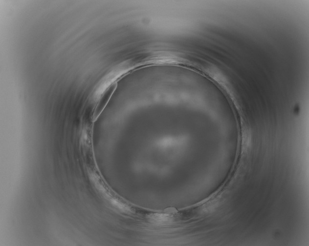 X0000112901481200908281713