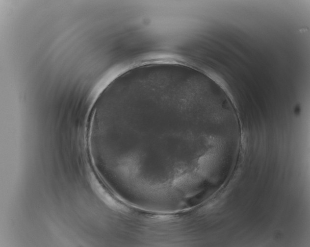 X0000112901482200908281713