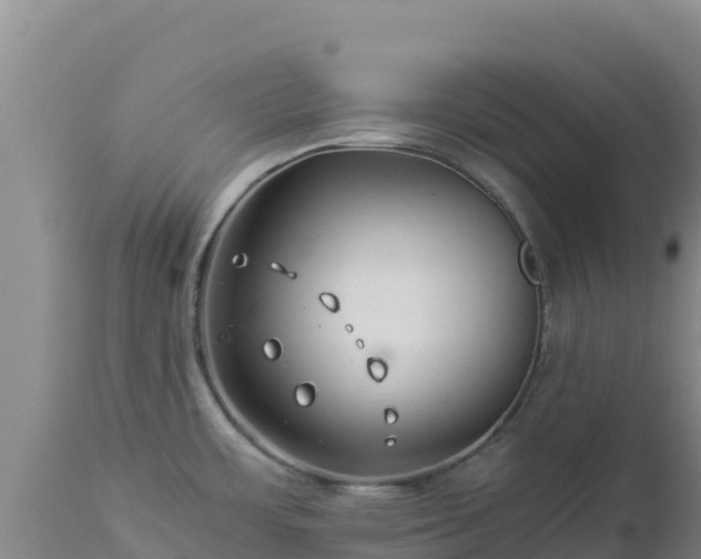 X0000112901483200908281713