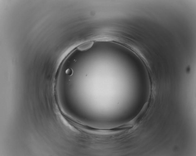 X0000112901484200908281713