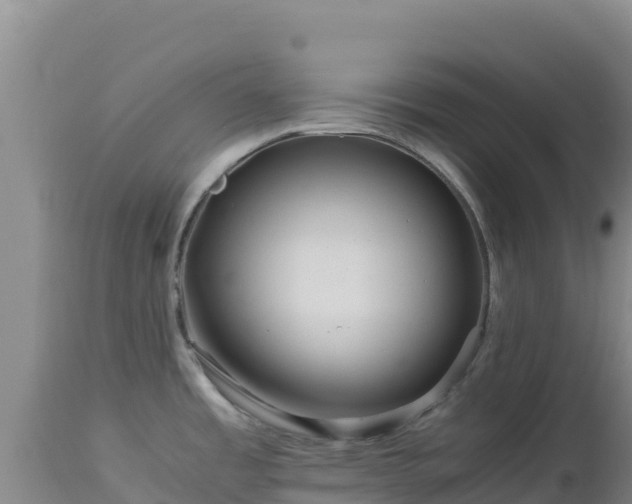 X0000112901485200908281713