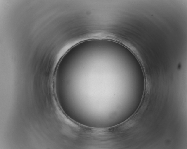 X0000112901486200908281712