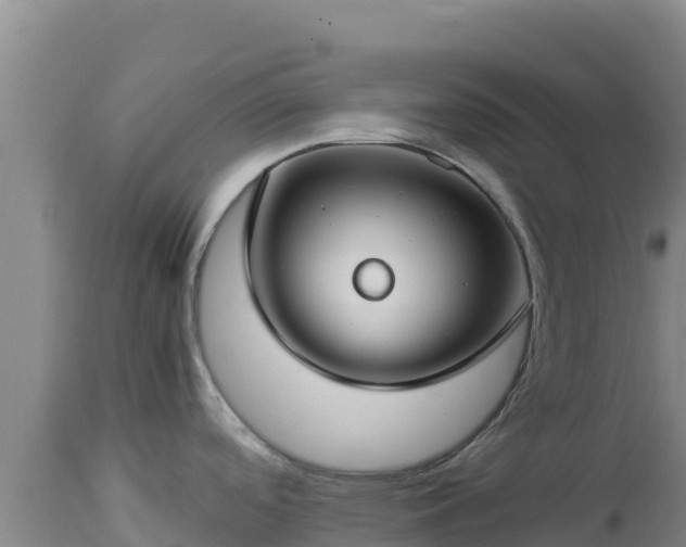 X0000112901488200908281712