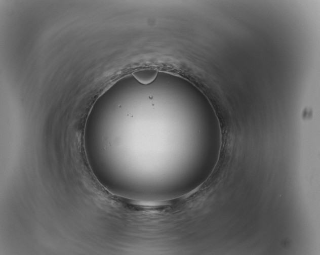 X0000112901489200908281712