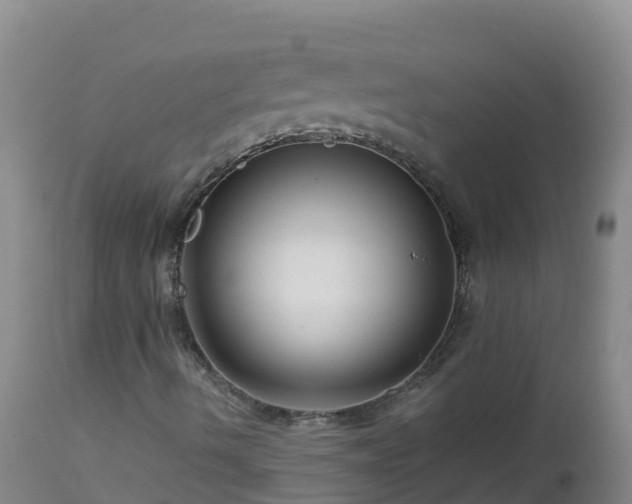 X0000112901490200908281712