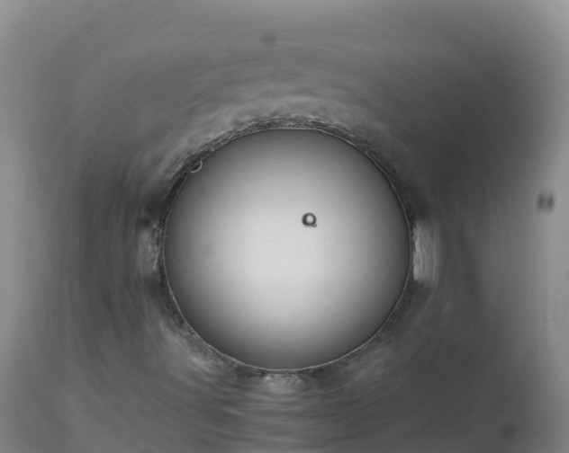 X0000112901491200908281712