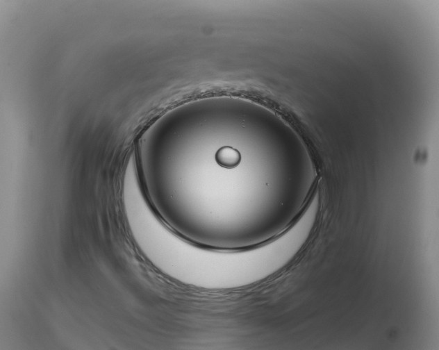 X0000112901492200908281712