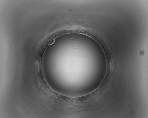 X0000112901493200908281712